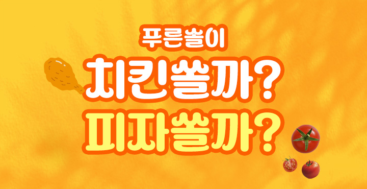 피자쏠까 치킨쏠
